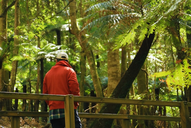 Trameloriax join journey